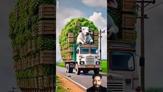 farmer's hungry cow runs away from the farmer's house and brings a truck full ofgrapes #ai #cow