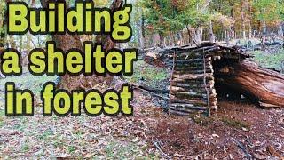 How to Build a Log Cabin in theForest: Step-by-Step Guide.#survival skills