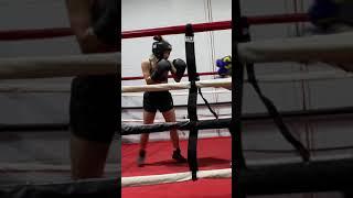 New short  Women’s boxing  #boxing #femaleboxing #mma #sparring AMAGFightTeam ️