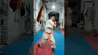 kyokushin kan karate