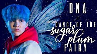  DNA of the Sugar Plum Fairy || BTS & Lindsey Stirling Mashup