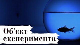 ️ Людина - лиш об'єкт  експеримента | Глибокі вірші зі змістом 