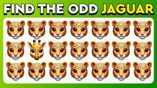 Find the ODD One Out - Jungle Edition  | Easy, Medium, Hard - 30 levels