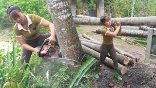 Growing Tomatoes, Cutting Wood For Sell - Farm Life, Free Bushcraft | Phùng Thị Phương