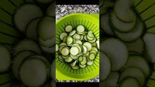 ZUCCHINI ALLA SANFELICIANA the best recipe with baked zucchini #lacucinadiloredana