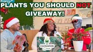 Cultivation Corner Podcast Episode 2 - Plant Gifting Made Easy: Best Picks for the Holidays