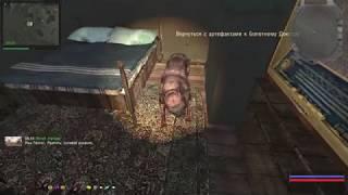 S.T.A.L.K.E.R./Сталкер Путь человека Возвращение:Старое болото (лекарство для девочки)Финал