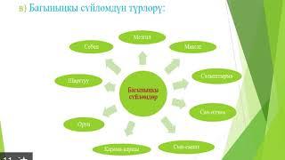 Мезгил багынынкы суйлом Чынгыз Айтматовдун чыгармаларында