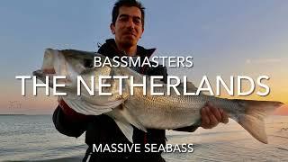 Massive 96cm Sea bass caught in The Netherlands (Catch and Release)