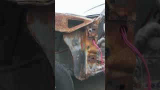 Start of the Restoration: Stripping Down My Abandoned '79 Mustang