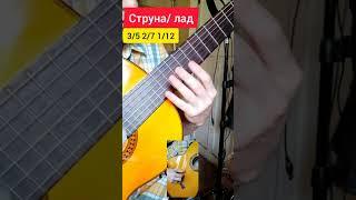 чижик пыжик, который ты не сыграешь на гитаре #shorts #гитара