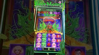 Little Shop of Horror #bingo #slot #casino