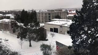 Time lapse of snowfall in Dublin, Marino Software office.