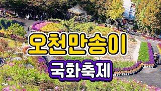 오천만송이 국화꽃 축제 / 국화축제 /  가을꽃축제  / 가을 나드리에 최적인 아산 피나클랜드 수목원 10월말부터 11월초 방문하면 활짝핀 국화꽃 향연을 볼 수 있을 듯 합니다