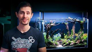 FAVORITE AQUARIUM STYLE? DIORAMA! JURIJS JUTJAJEVS IN ACTION