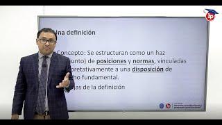 Clase gratuita: Teoría de los derechos fundamentales