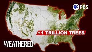 The Biggest Climate Scam Ever?