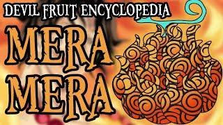 The Mera Mera no Mi (Devil Fruit Encyclopedia)