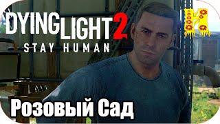 Dying Light 2 Stay Human Прохождение №19 Розовый Сад