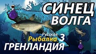 Синец Волга / РР3 [ Русская рыбалка 3.9 Гренландия]