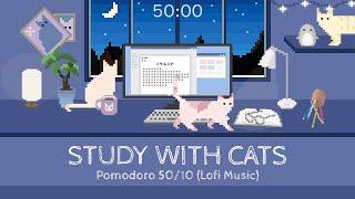 Study with Cats  Pomodoro Timer 50/10 | Late night study session with cats & very calm lofi bgm