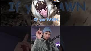 If you yawn at this video you like animals