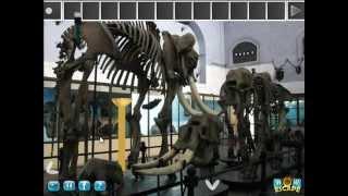 Wow Museum Escape Video Walkthrough