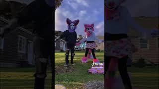 BEST Furry TikToks compilation 0304 #shorts #furrytiktok #furry #furrycompilation