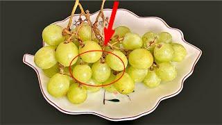 It Is A Big Mistake To Wash Grapes Only With Salt And Water!