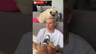 Anyaischuk | Аня Ищук | Anya Ischuk  Funny Tiktok #Tiktok #ТИК ТАК #Anyaischuk #АняИщук