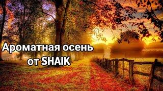 Новые ароматы от Shaik в моей коллекции