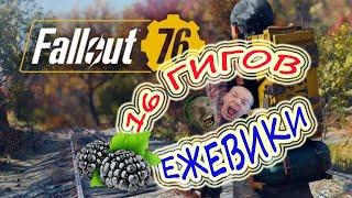 Fallout 76 16 гигов Ежевики (нарезка стримов)