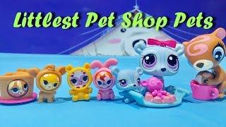 Littlest Pet Shop Pets Toys  LPS Chocolatey Delight Playset By Hasbro For Kids Worldwide