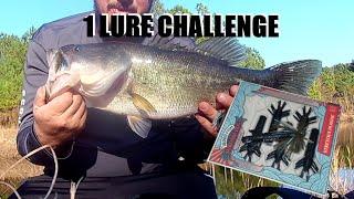 ONE LURE CHALLANGE! | Tight Rope Baby Fire Work Super Jig\10000 Fish Sukoshi Bug Review #fishing