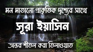 সূরা ইয়াসিন ( سورة يس‎) - অন্তর শিতলকারী তেলাওয়াত । Sura Yaseen By Ismail An Nouri | Muaz - মুয়াজ