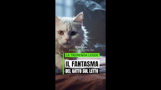 L'ESPERIENZA CON IL GATTO FANTASMA  #MysteriesNetwork