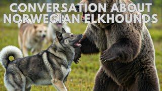 Expert Dog Breeder Reveals the Secrets of Norwegian Elkhounds