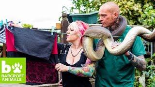 Reptile Lovers Live With 80 Snakes: Teaser