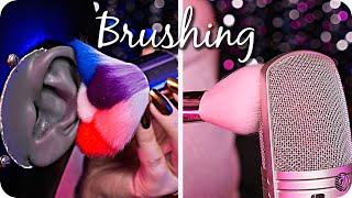 ASMR 𝙐𝙇𝙏𝙄𝙈𝘼𝙏𝙀 Mic & Ear Brushing for DEEP Sleep (NO TALKING) 5 𝟑𝐃 Mics 3Dio, Rode, Tascam, Bob +