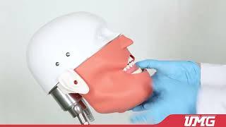 UMG New Style Dental Teaching Simulation Unit  UMG -II PLUS