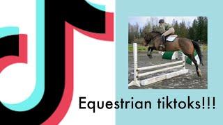 Best Equestrian TikToks Ever! Part 2!!