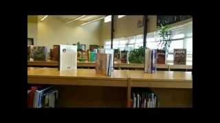 Interview: What is you opinion on the electives here at quest?