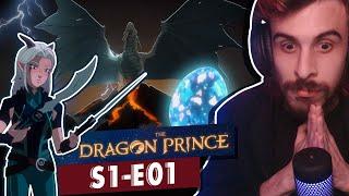 HOOKED w/ this Lore & Elves! THE DRAGON PRINCE 1x1 Reaction/Commentary/First Time Watching!