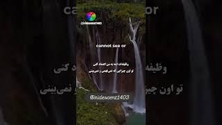 با تمام قلب خود به خداوند اعتماد کن و بر عقل خود تکیه مکن. 