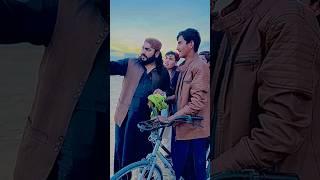 aghajan ka fans //Sadam aghajan funny videos Pashto New #comedy #fun#dacky #dackybhai #syedsadam93