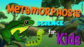 What is Metamorphosis | Science for Kids