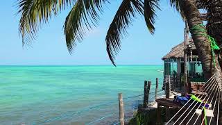 Jambiani Beach, Zanzibar, Africa