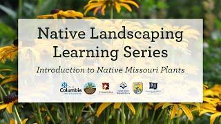 Native Landscaping Learning Series: Introduction to Native Missouri Plants