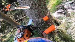 Holzfällen mit Stihl 500i