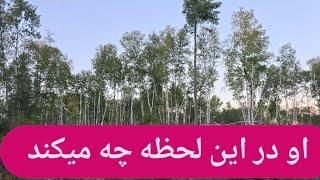 پارتنر شما در چه حال و انرژی هست 